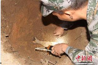 海南工地爆料事件视频,揭露现场惊人真相